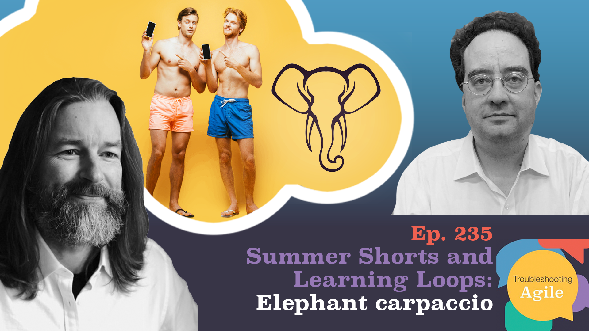 Summer Shorts - Elephant Carpaccio