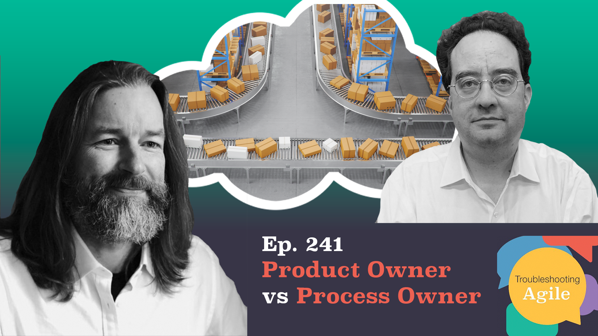 Product Owner vs Process Owner