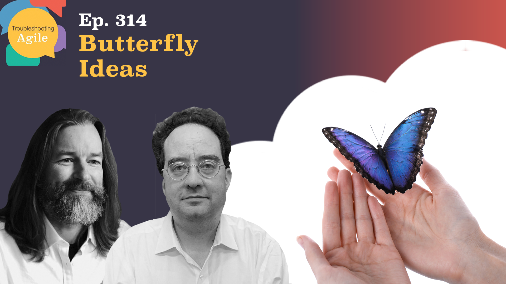 Butterfly Ideas